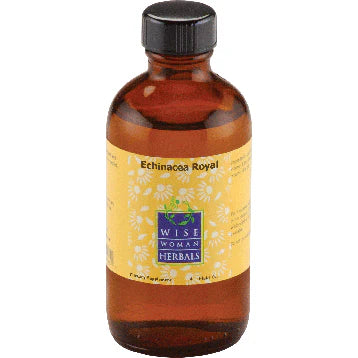 Echinacea W38860