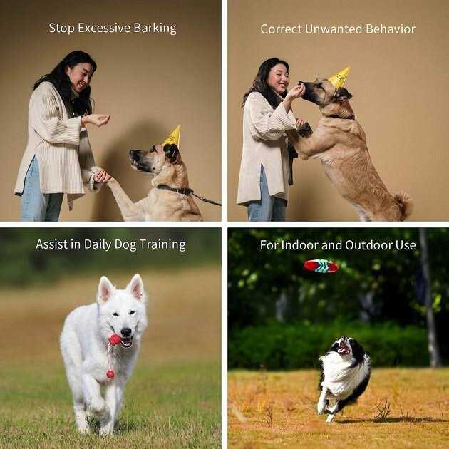 Ultrasonic Pet Behavior Training Remote A477396