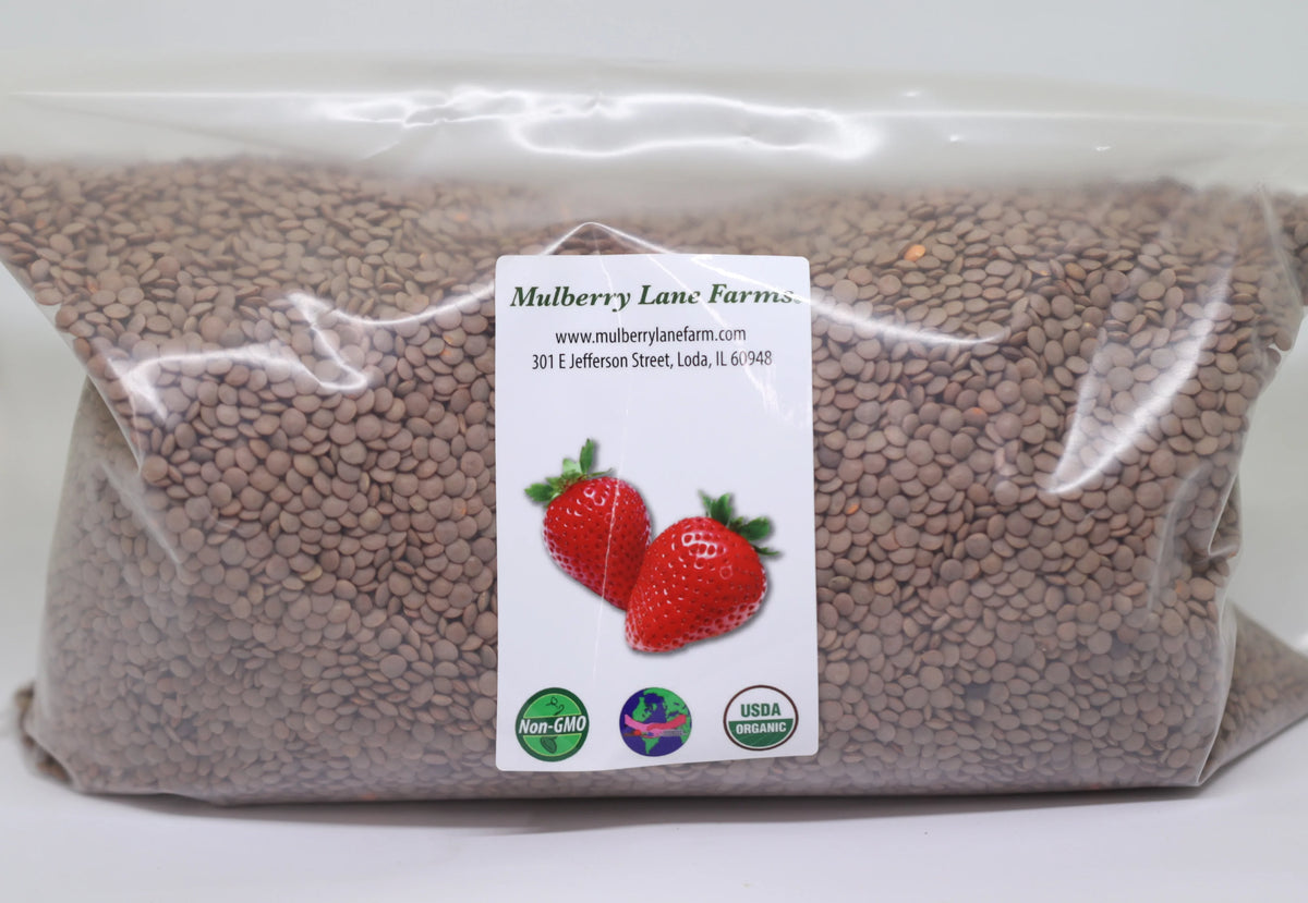 Brown Lentils 5 Pounds Organic Non-GMO D8382
