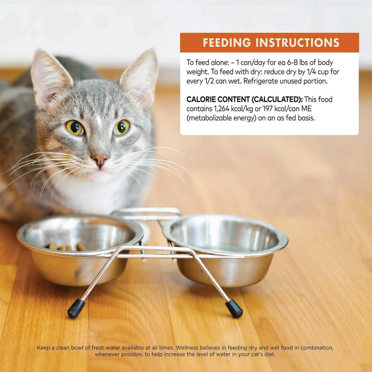 95% Cat Food R973