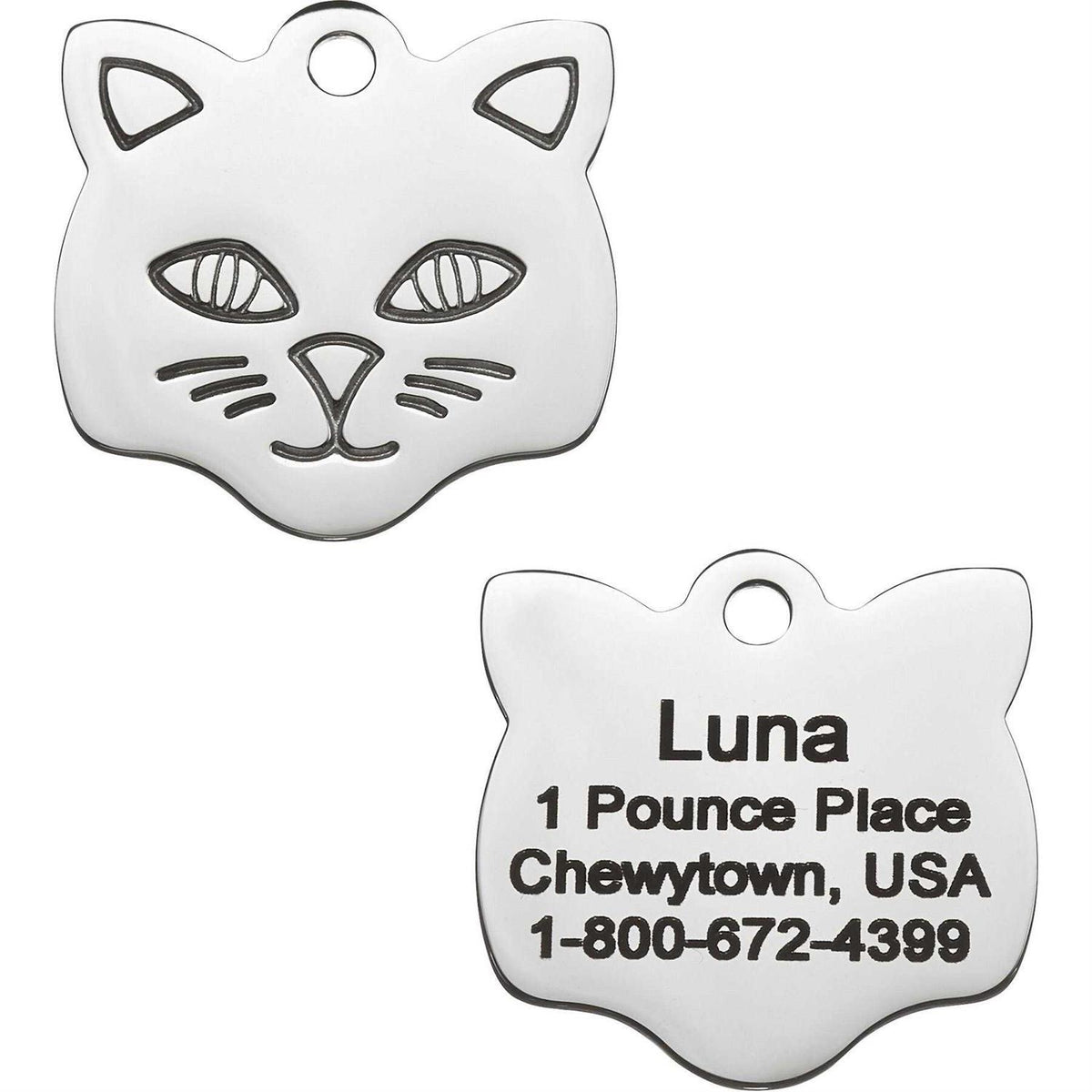 Stainless Steel Personalized Dog & Cat ID Tag J950808