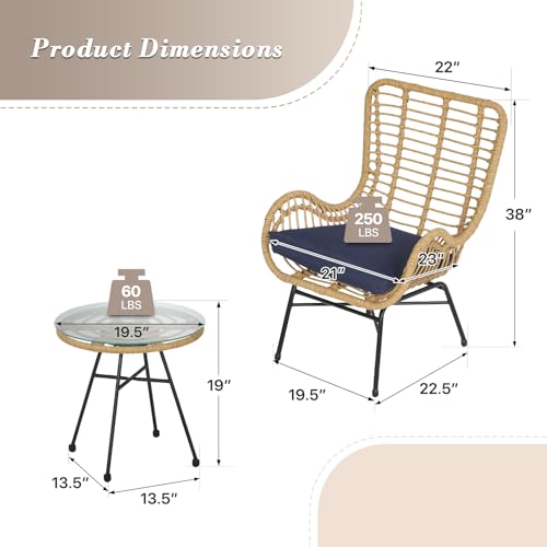 3 Pieces Rattan Outdoor Table and Chairs Set with Cushion D66764