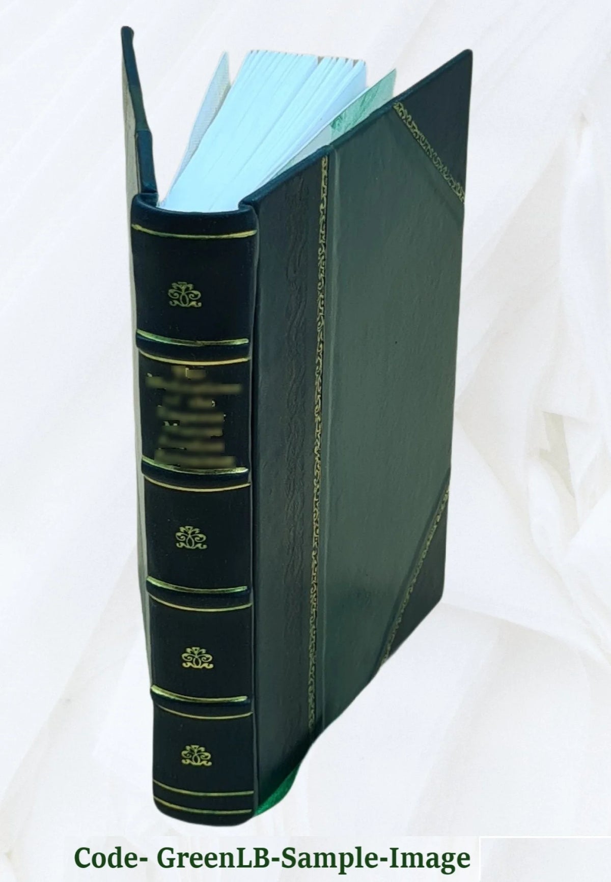Leather Bound Book B876746