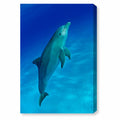 Blue Dolphin Canvas Art J659781