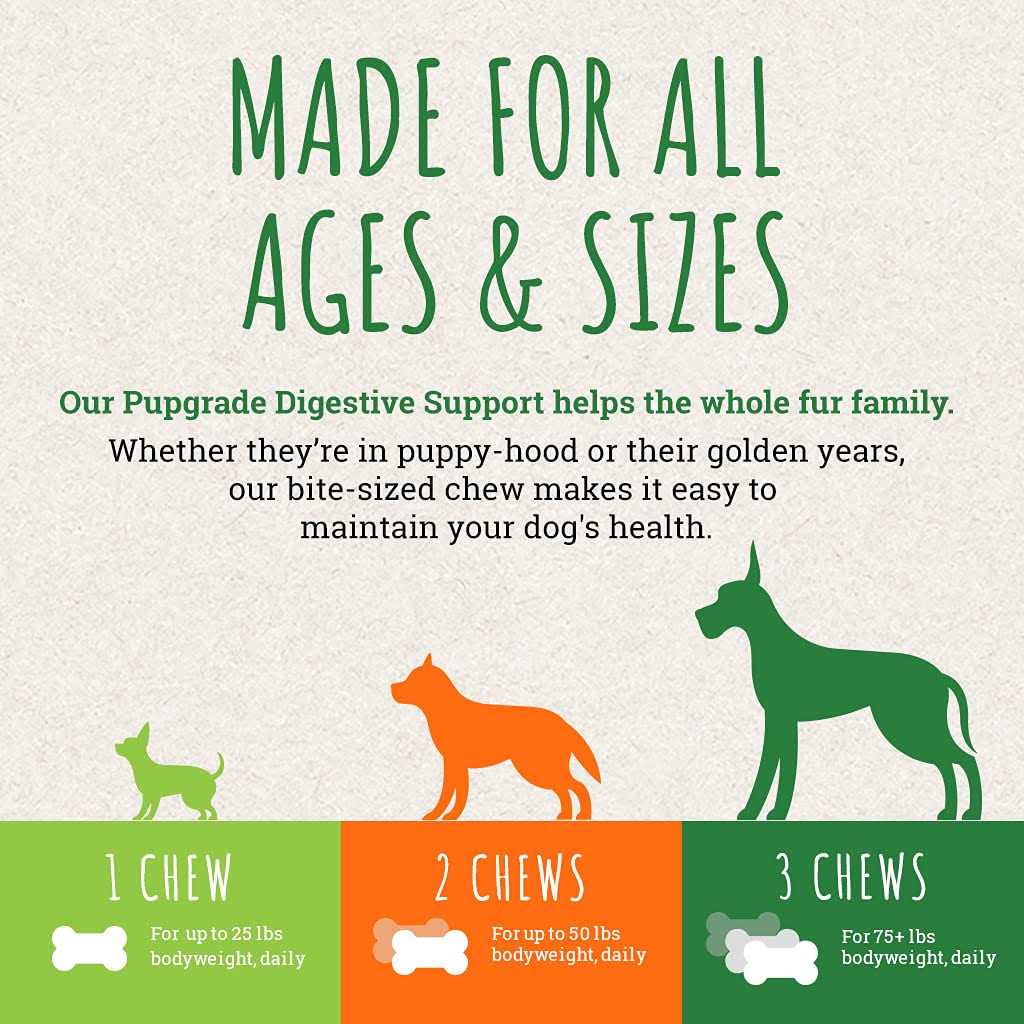 Digestive Support Chews for Dogs P210