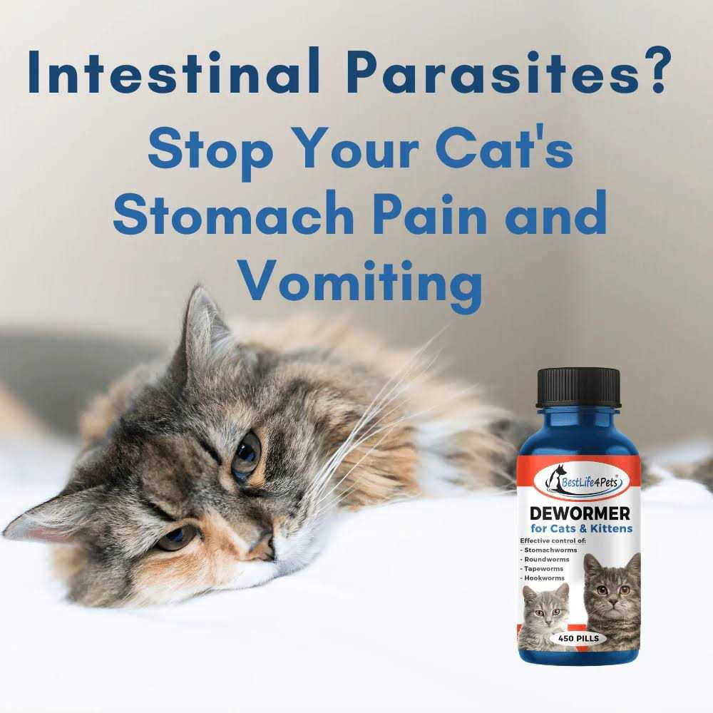 Broad Spectrum Dewormer for Cats and Kittens H6995