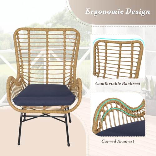 3 Pieces Rattan Outdoor Table and Chairs Set with Cushion D66764