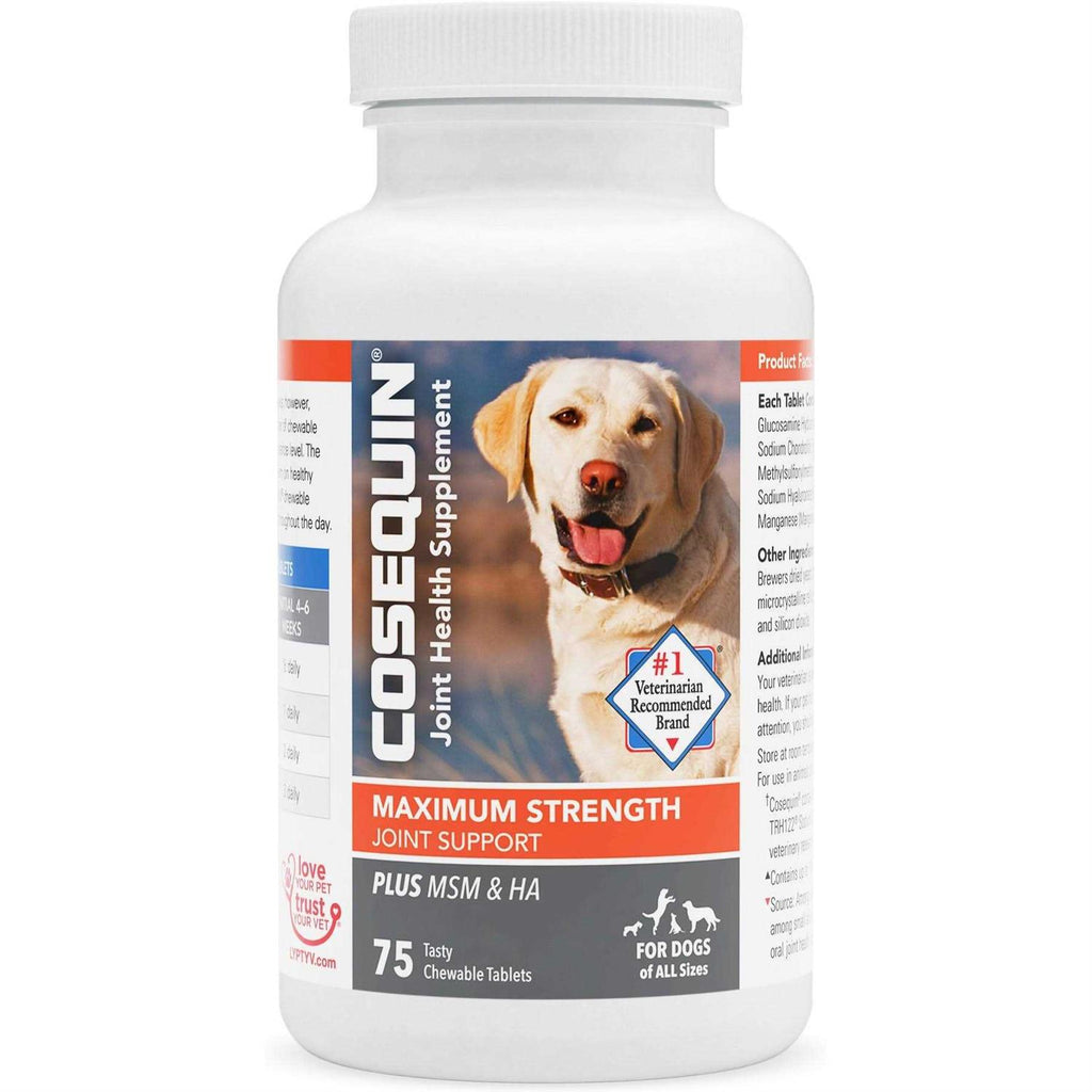 Cosequin Maximum Strength Plus MSM & HA for Dogs A259
