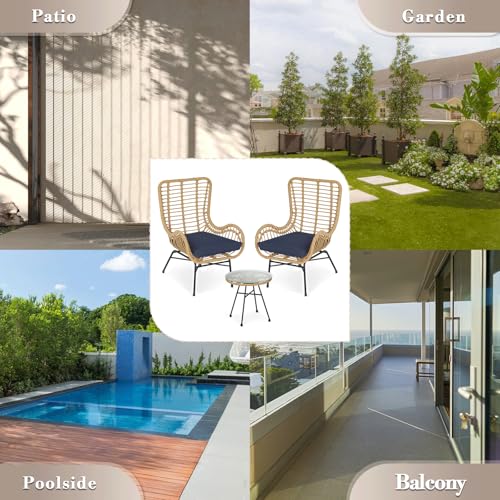 3 Pieces Rattan Outdoor Table and Chairs Set with Cushion D66764