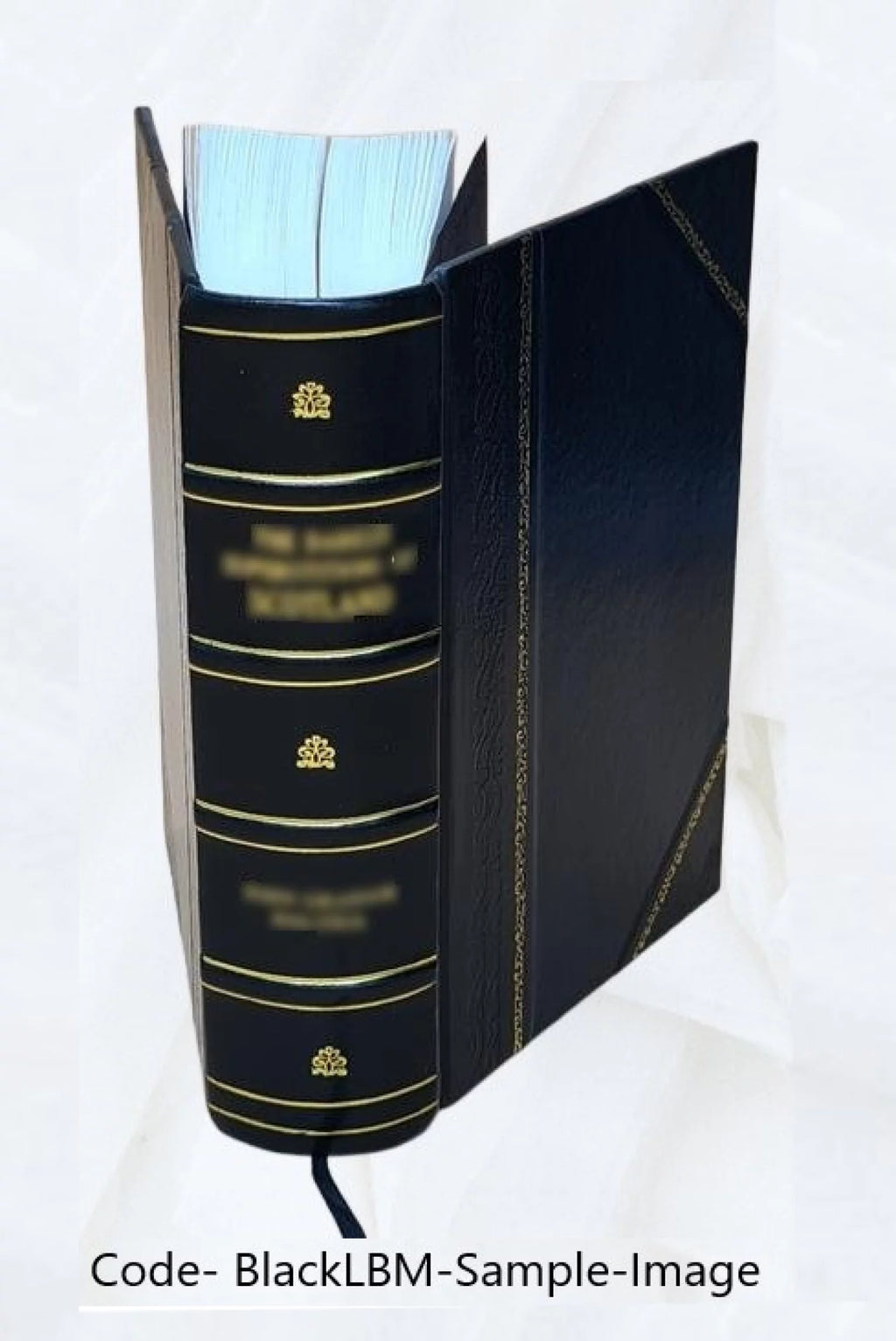 Leather Bound N6555