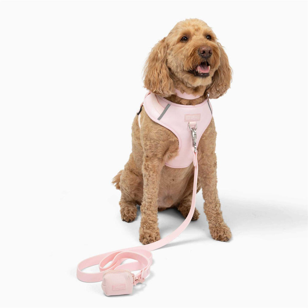 Neoprene Dog Harness K1449