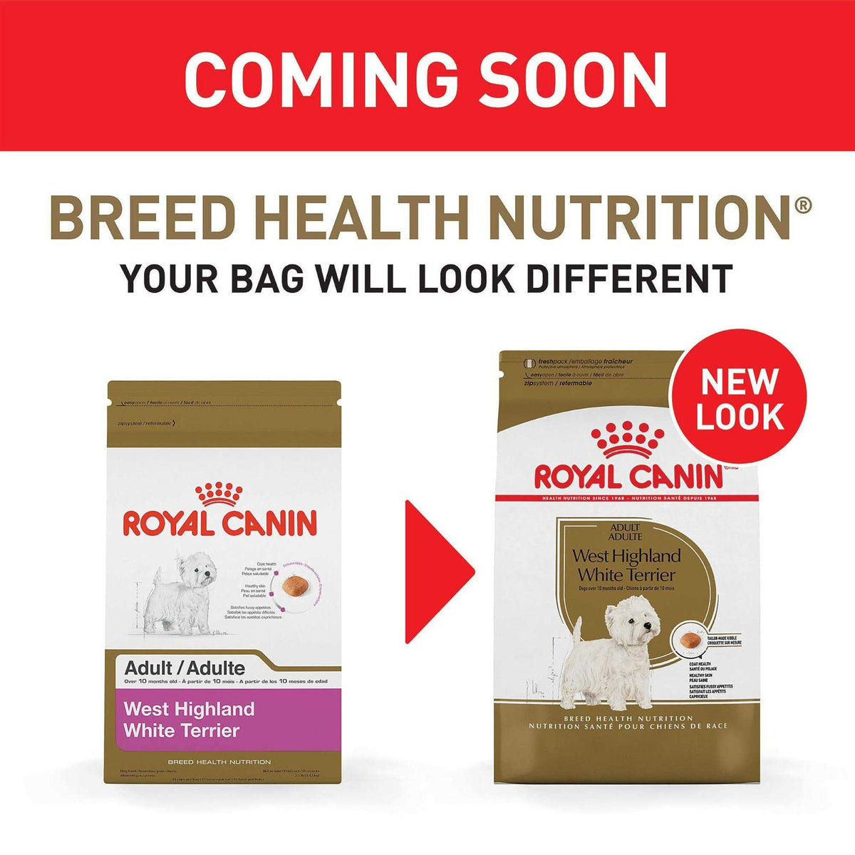 West Highland White Terrier Adult Dry Dog Food X17813
