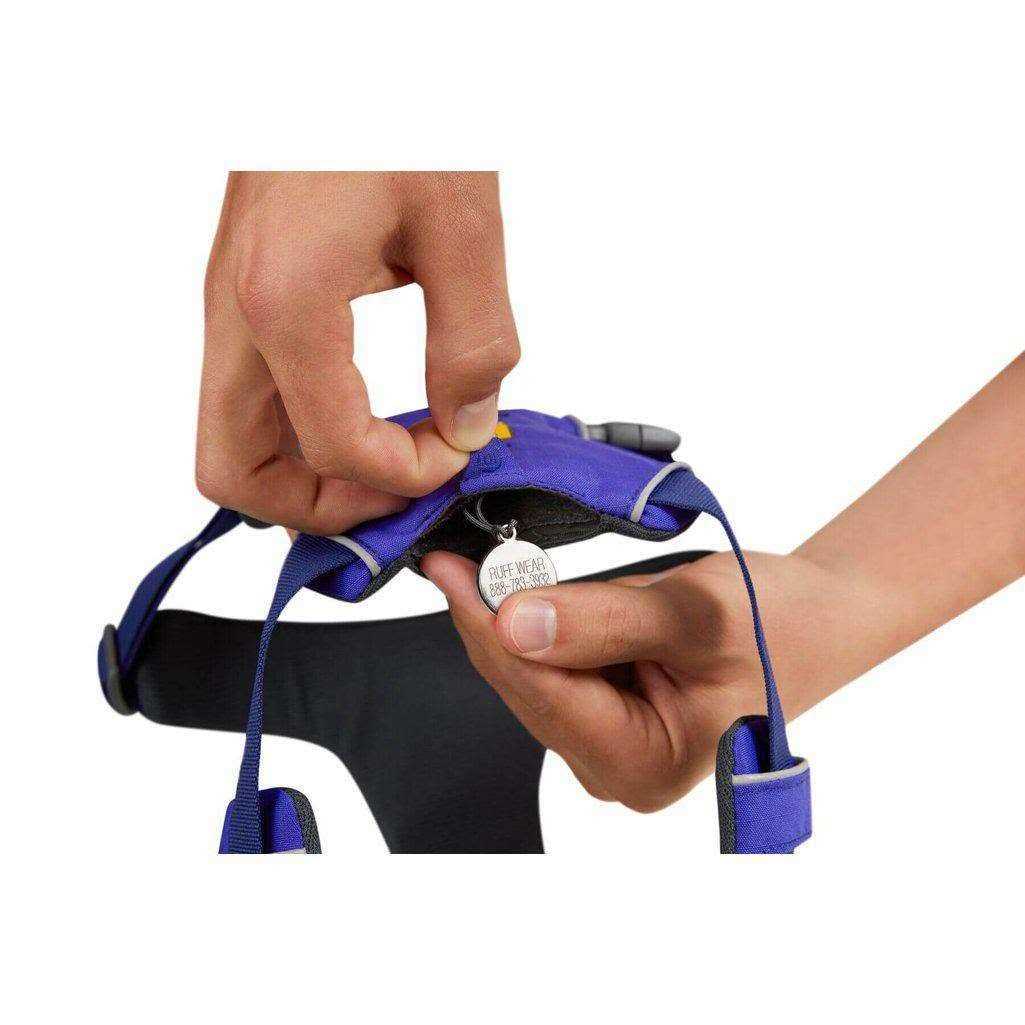 Front Range Harness C544937