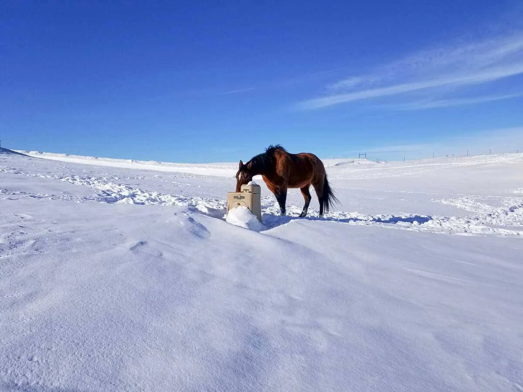 Heated Automatic Waterer B12923