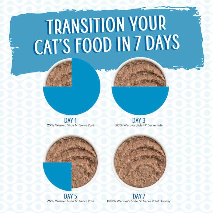 Chicken Wet Cat Food V9972