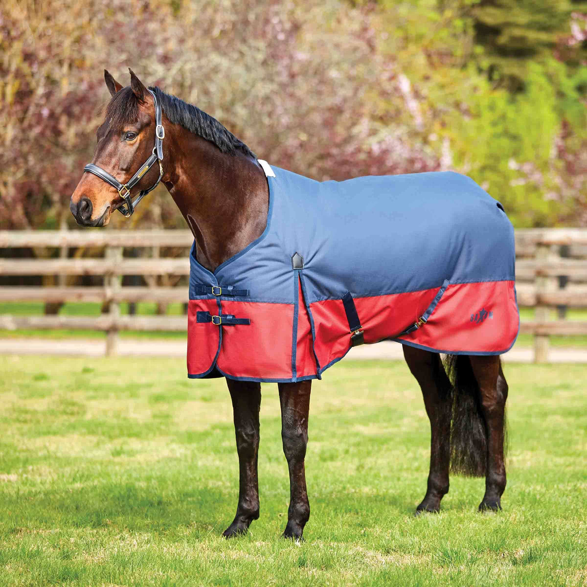 Navy/Red Plaid Heavy Neck 72 X394
