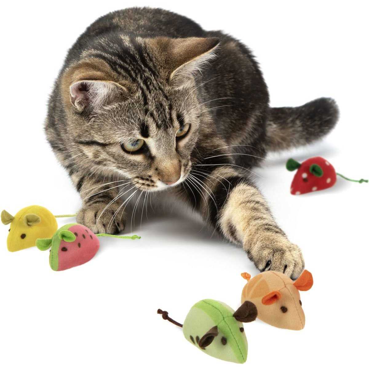 Cat Toy Z8802