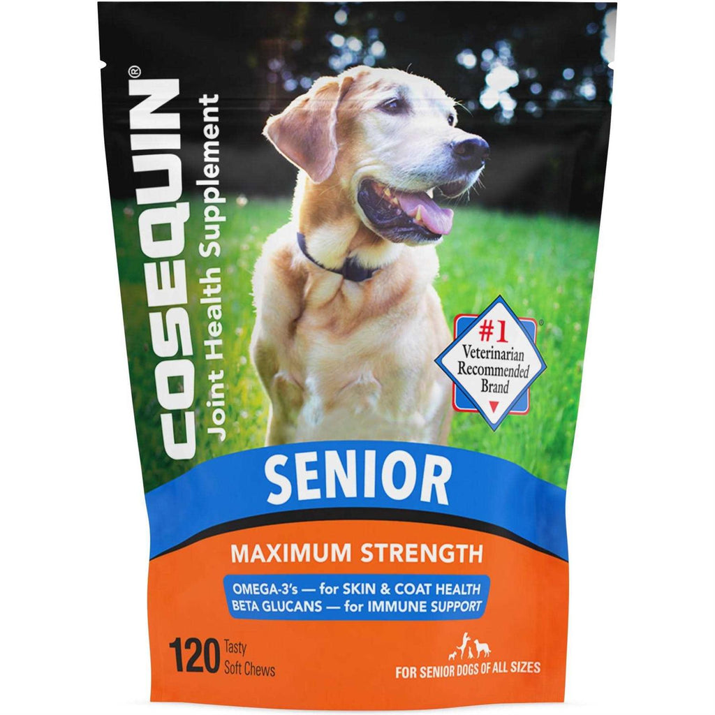 Joint Health Supplement for Senior Dogs S790