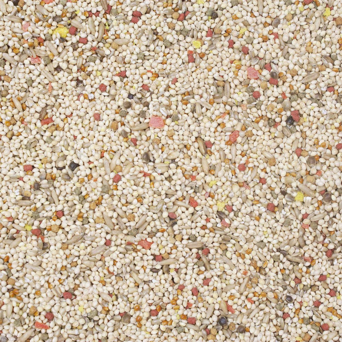 Parakeet Food K1430