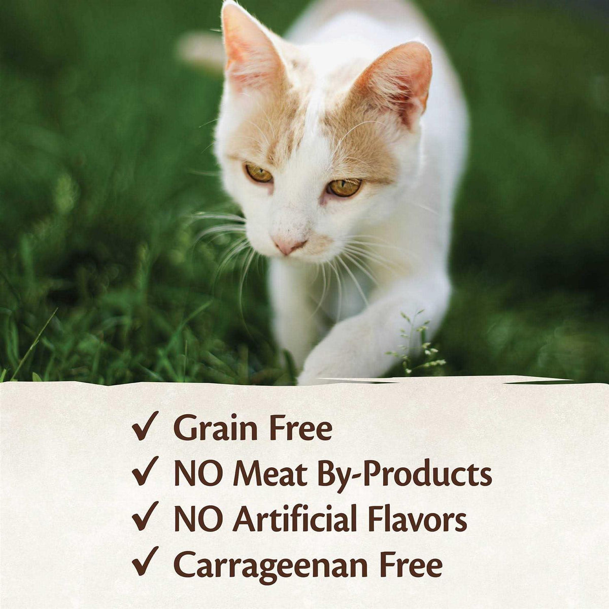 95% Cat Food R973