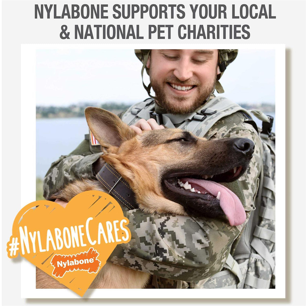 Filet Mignon Flavored Dog Dental Chews I120338