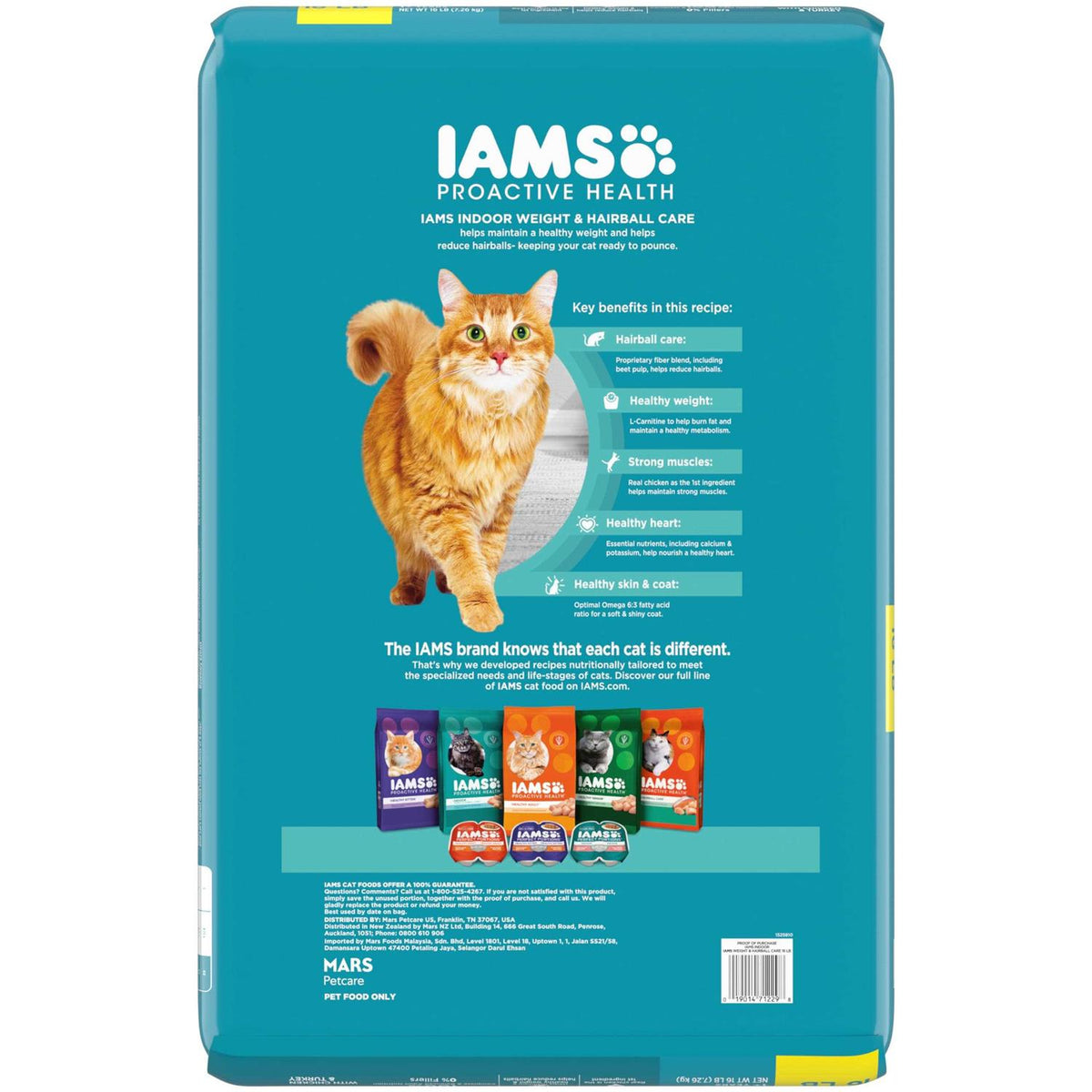 Indoor Dry Cat Food U84564