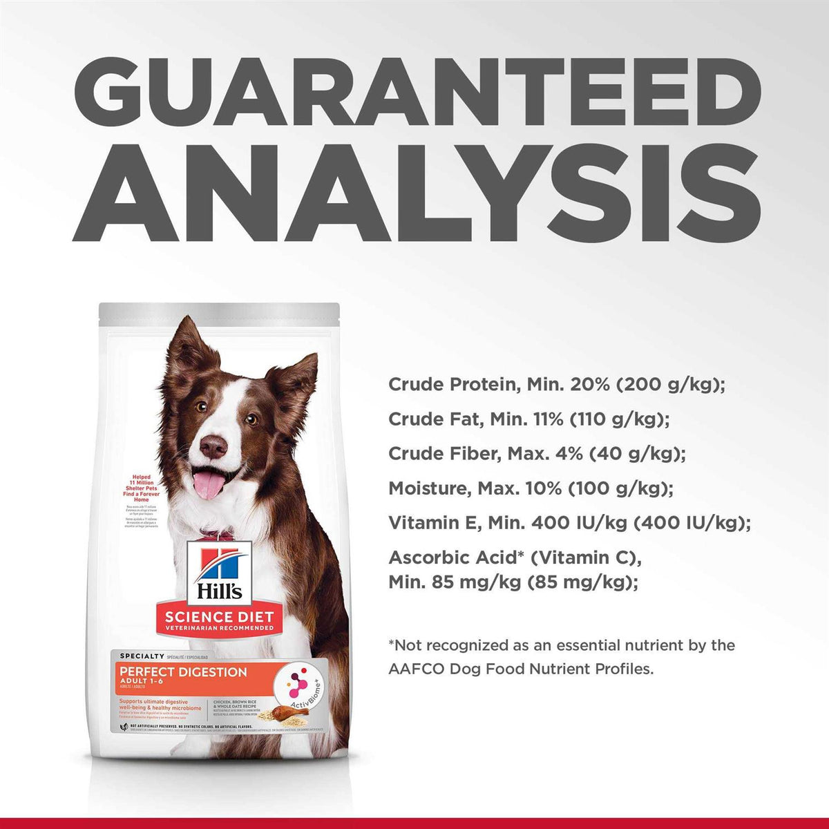 Adult Dog Food I644
