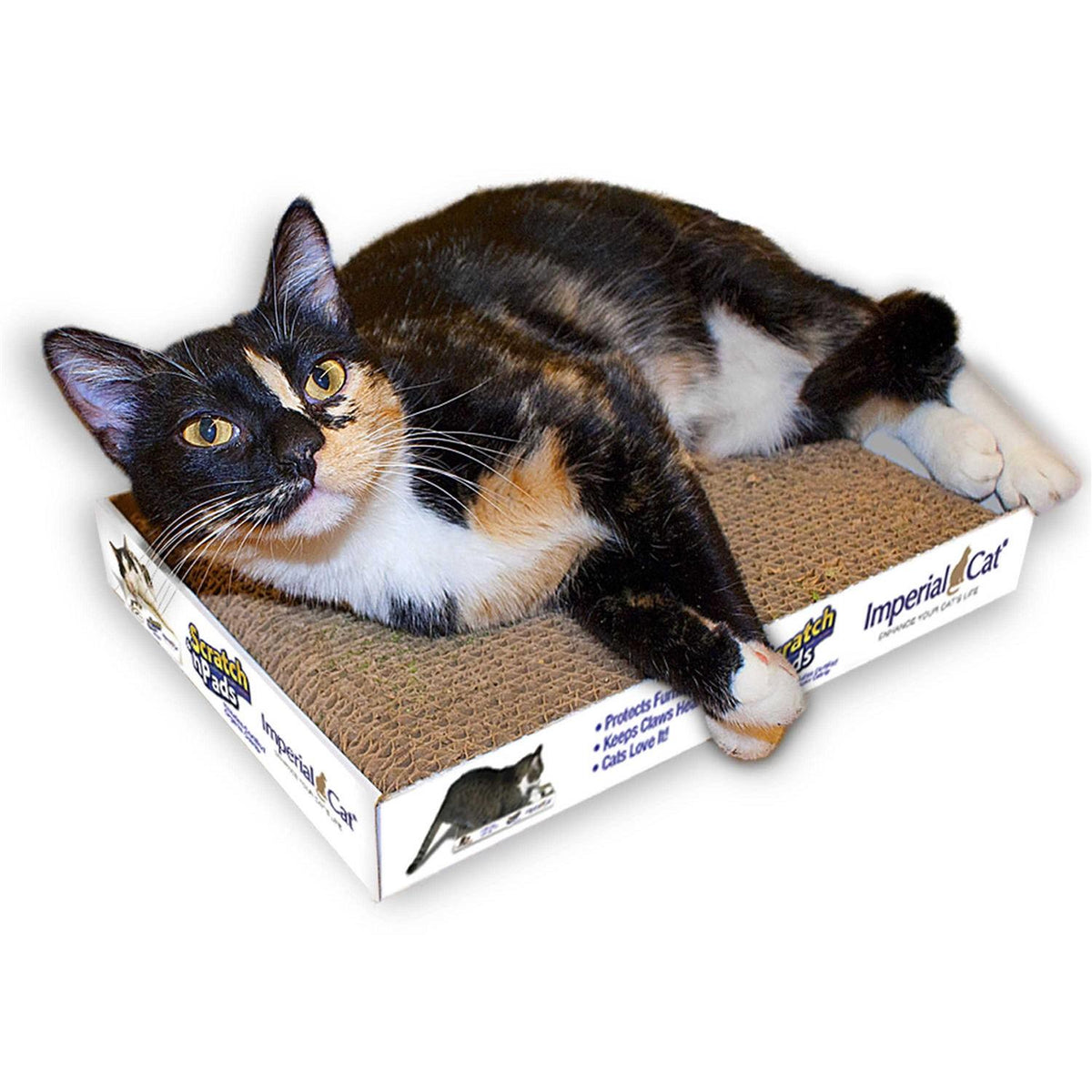 Cat Scratch Pad N469034