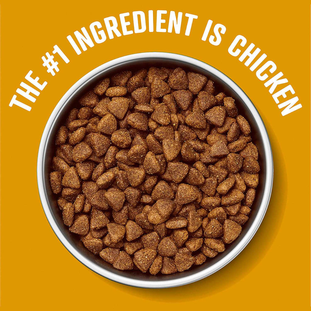 Dog Food W84929