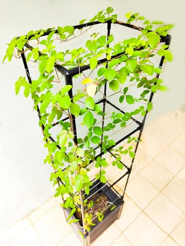 2 Pack 63" Large Outdoor Garden Planter Box with Trellis and Caster X815