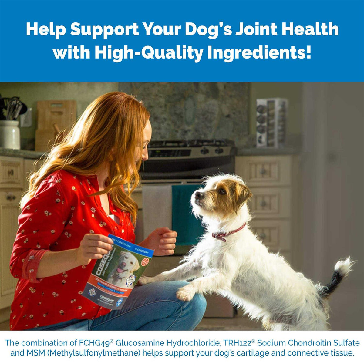 Cosequin Maximum Strength Plus MSM & HA for Dogs A259