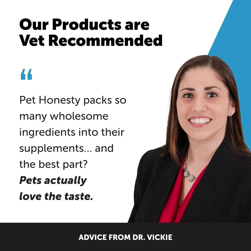 Digestive Skin and Coat Cat Supplement A882091