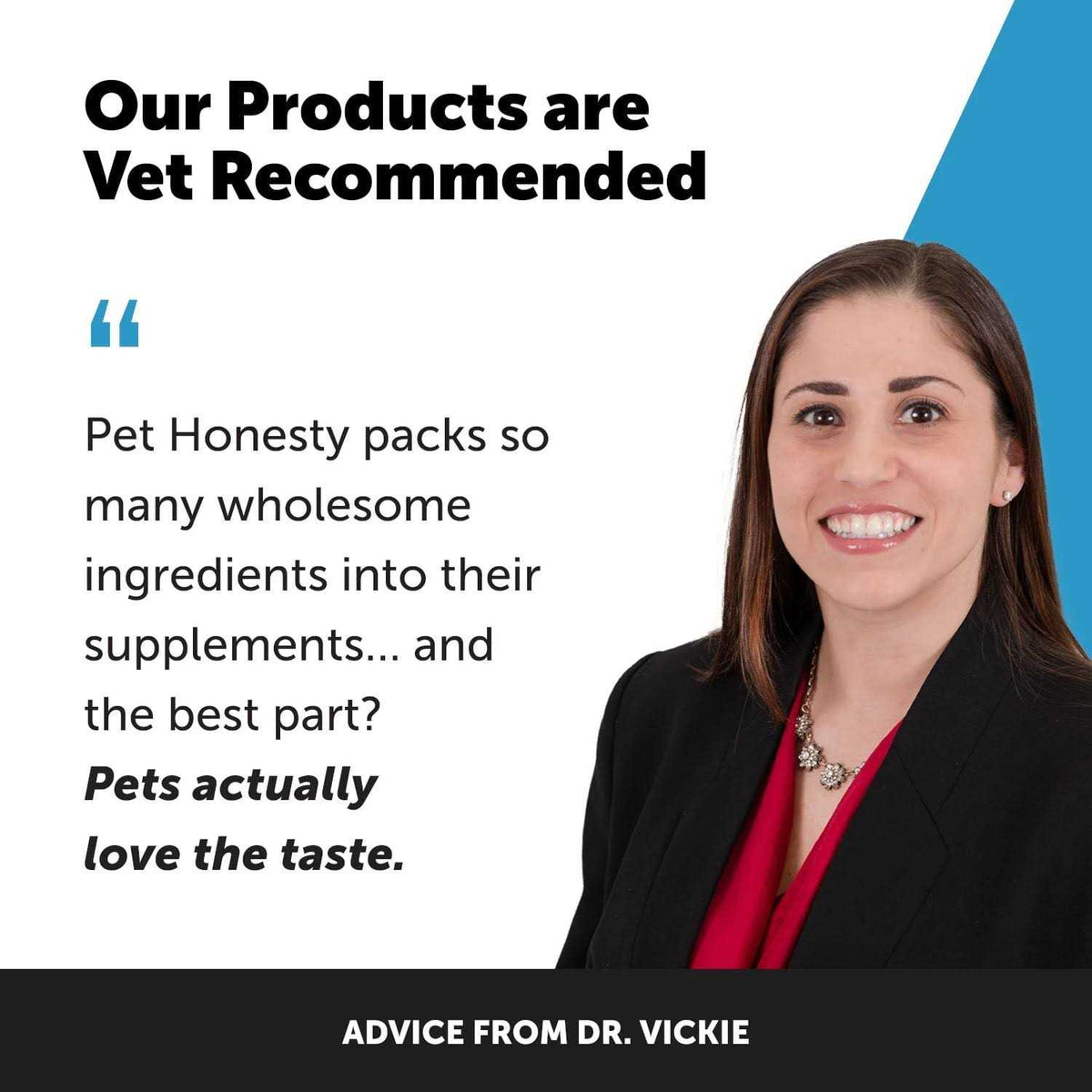 Digestive Skin and Coat Cat Supplement A882091