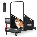 Dog Treadmill G1696