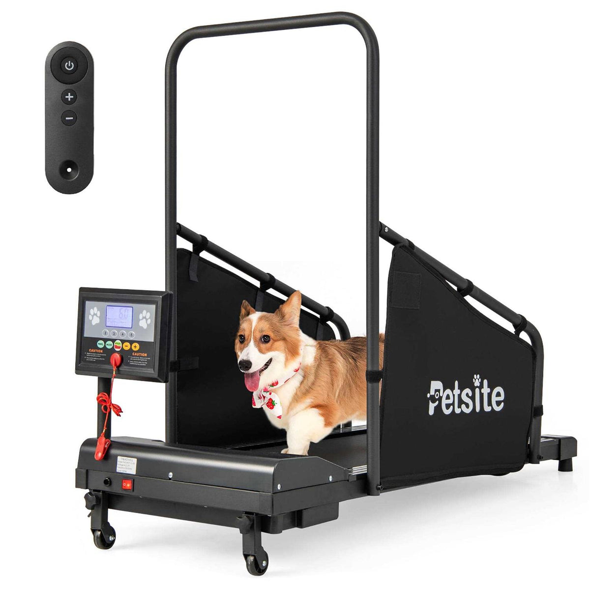 Dog Treadmill G1696