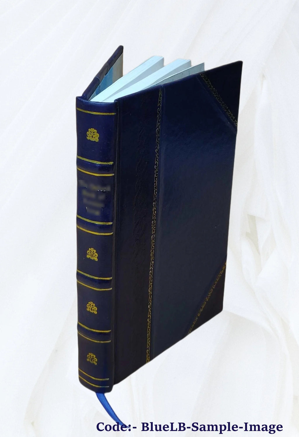 Leather Bound Book B876746