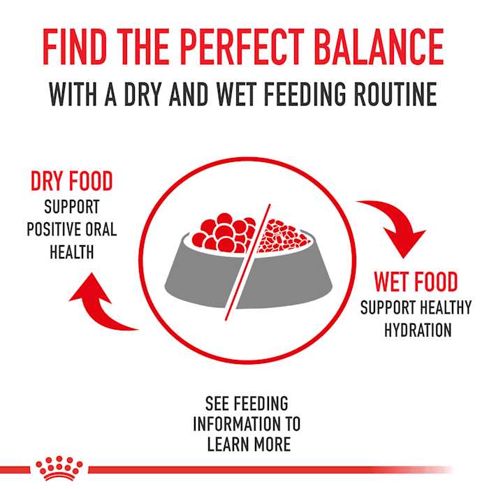 Adult Dry Dog Food E5345