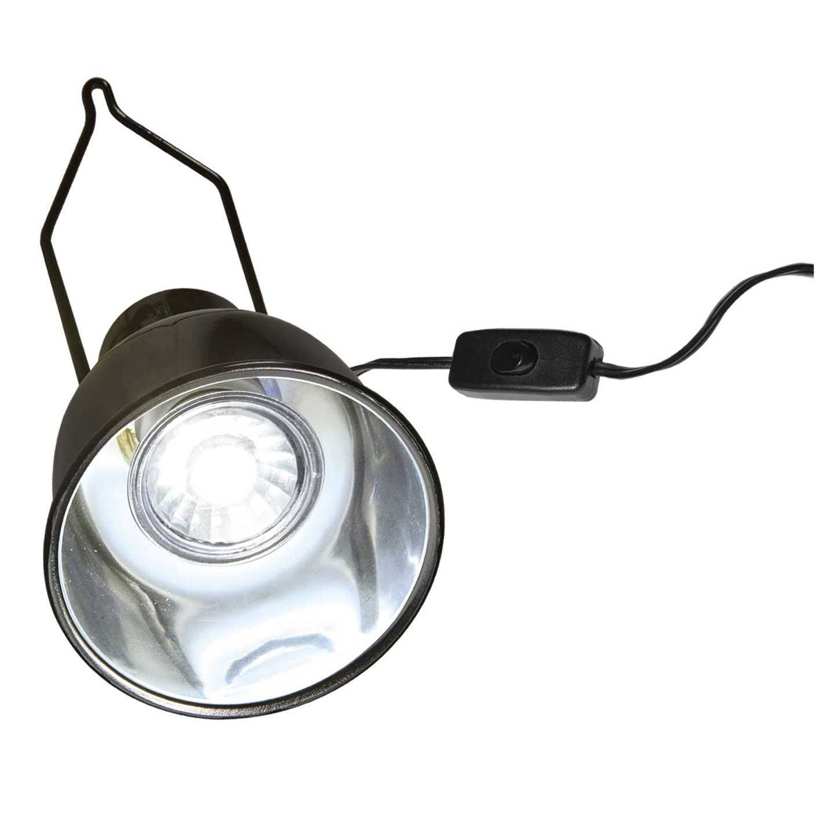 Dome Lamp Fixture Y35492