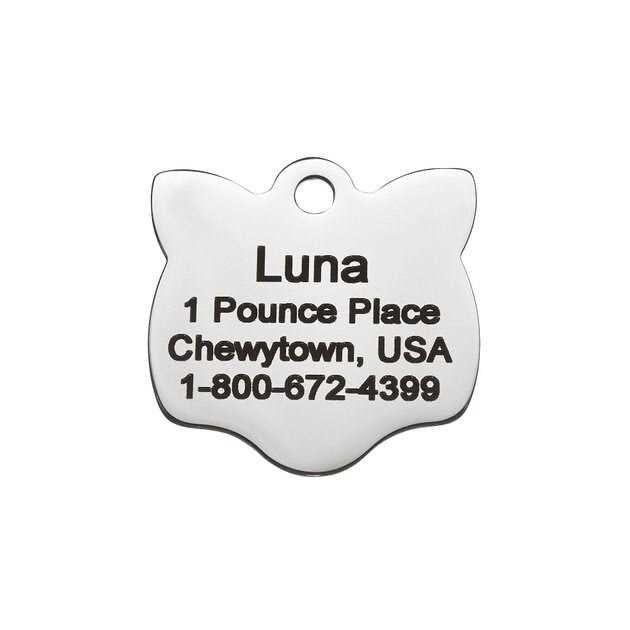 Stainless Steel Personalized Dog & Cat ID Tag J950808
