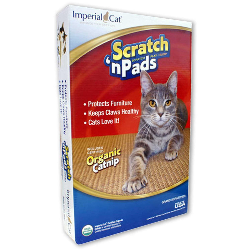 Cat Scratch Pad N469034