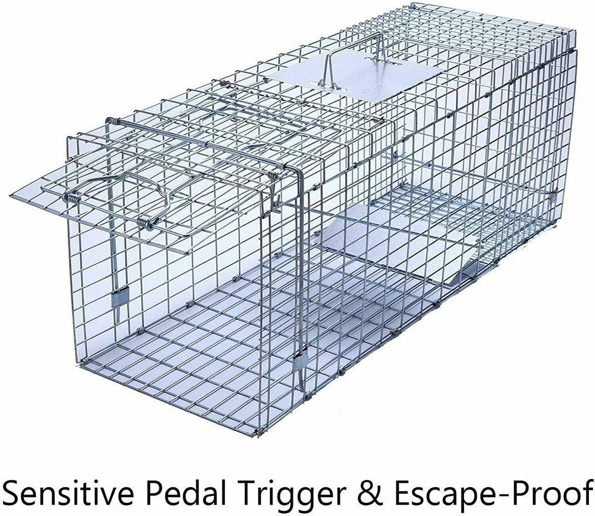 Large Collapsible Humane Live Animal Cage Trap W1812