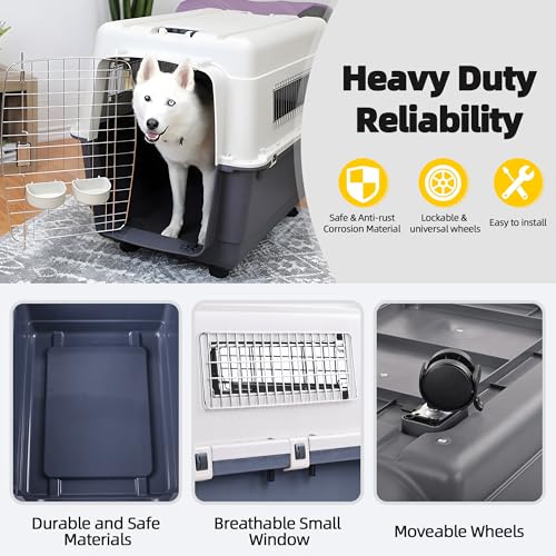 Plastic Airline Approved Travel Dog Crate, Medium X51977