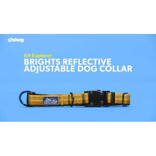 Reflective Adjustable Dog Collar B13581