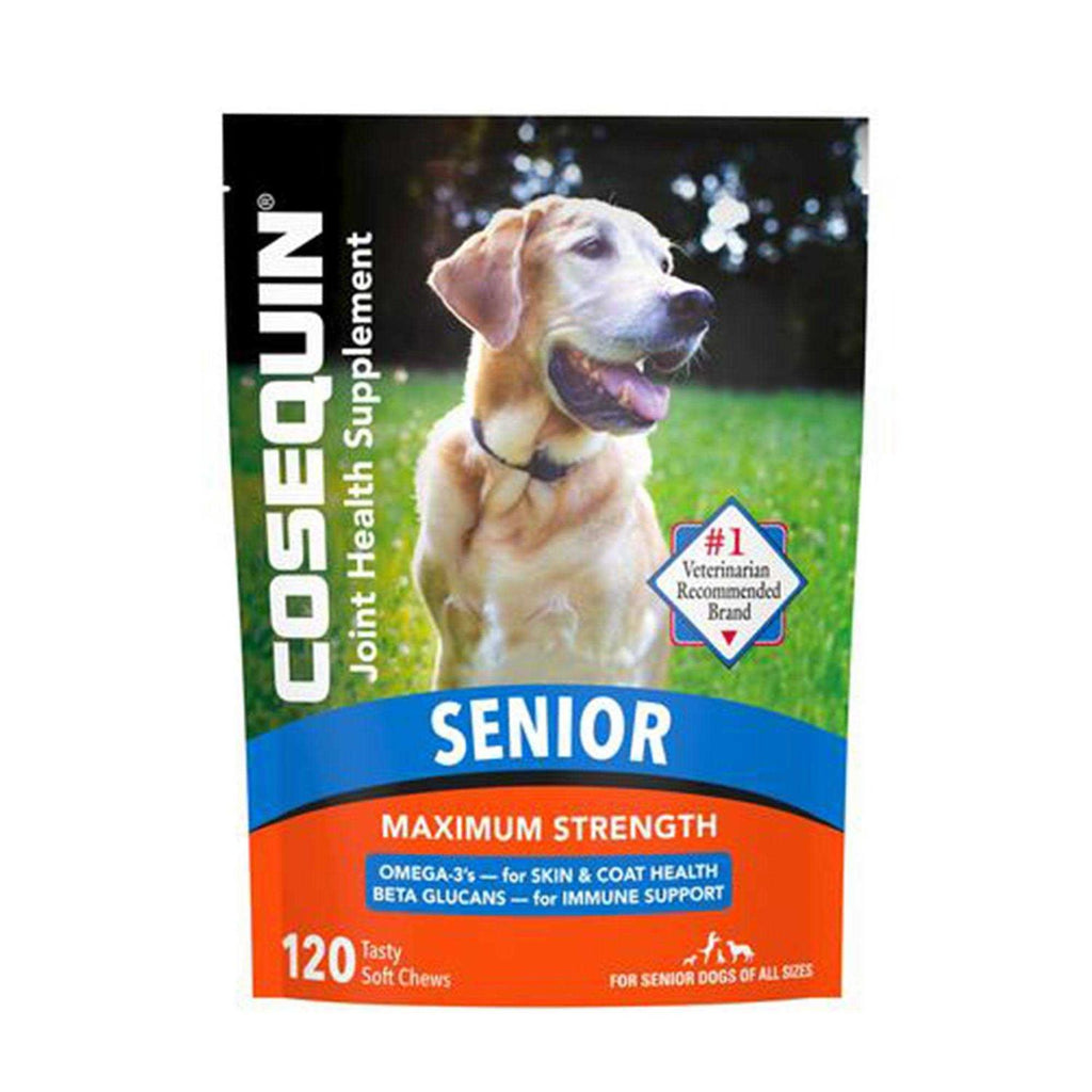 Joint Health Supplement for Senior Dogs S790