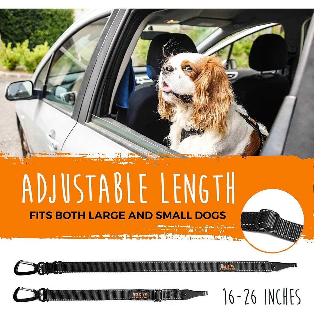 Dog Seat Belt Y5726