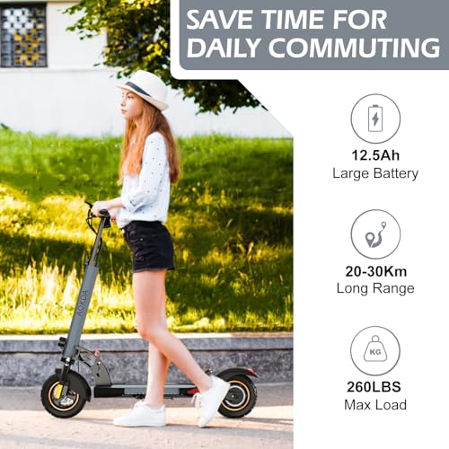 800W 28 MPH Folding Electric Scooter S2384