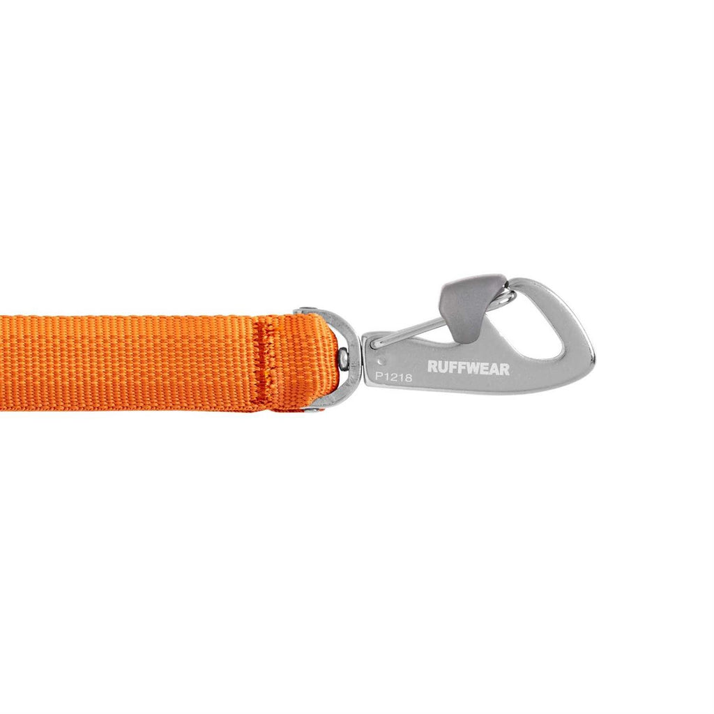 Leash C297604