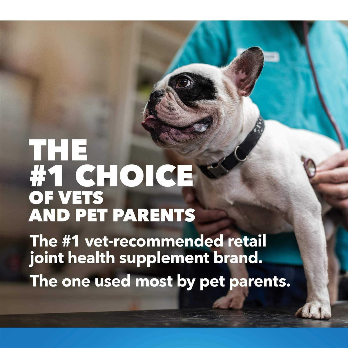 Cosequin Maximum Strength Plus MSM & HA for Dogs A259