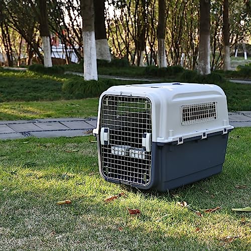 Plastic Airline Approved Travel Dog Crate, Medium X51977