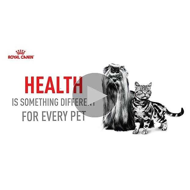 Adult Dry Dog Food E5345
